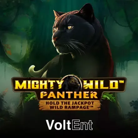 Spelthumbnail van Mighty Wild Panther in het Binobet casino